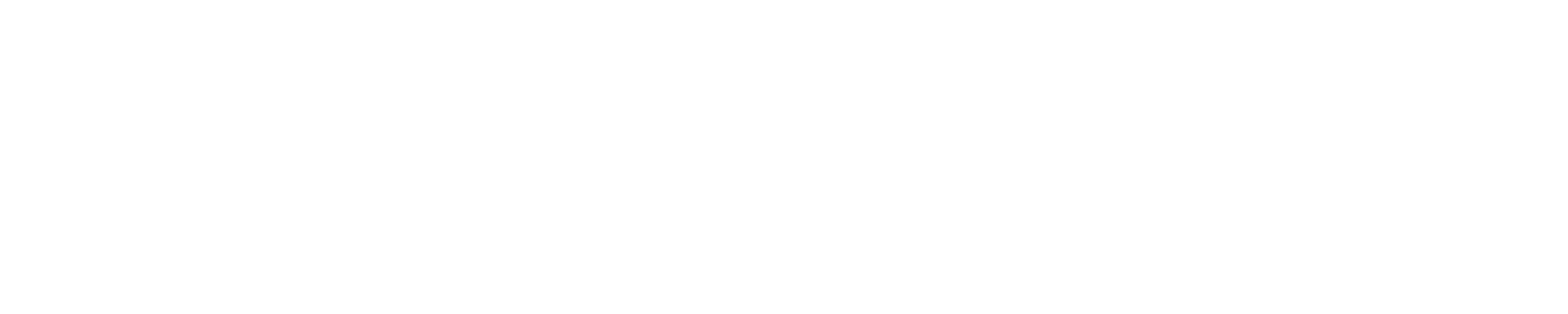 BIZMASOFT